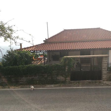 Angel Villa Tseria Luaran gambar
